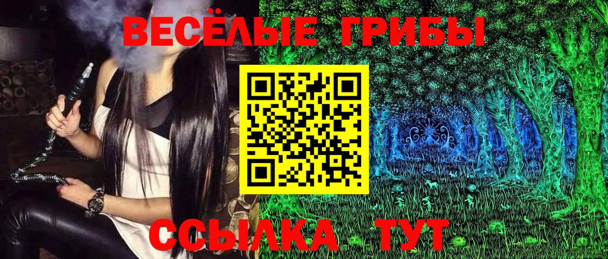 Железноводск  Псилоцибиновые грибы MAGIC MUSHROOMS  Галлюциногенные грибы GOLDEN TEACHER  Вход с VPN 