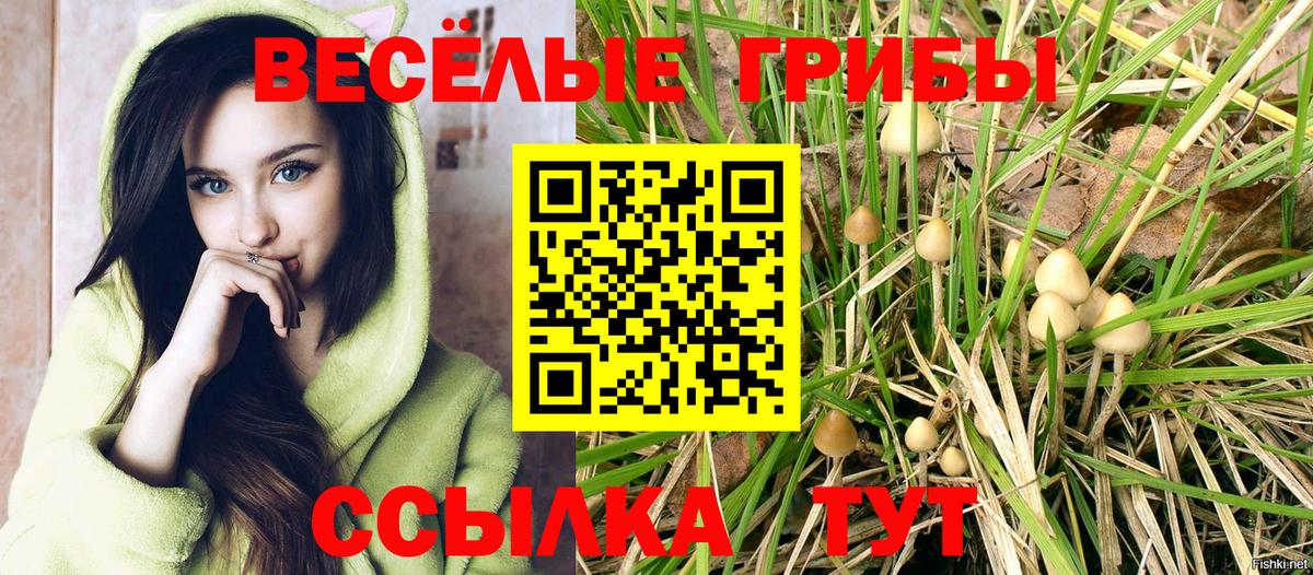 Галлюциногенные грибы ЛСД Железноводск